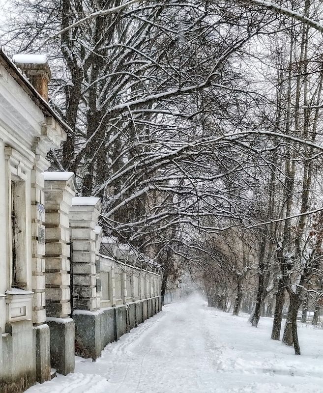 Зимняя зарисовка.... фото превью