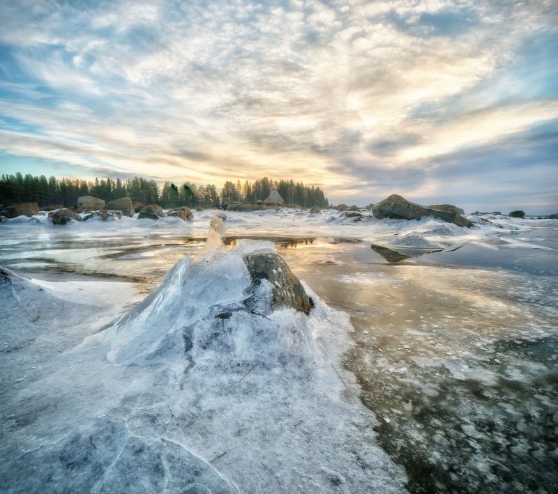 KOLA фото превью