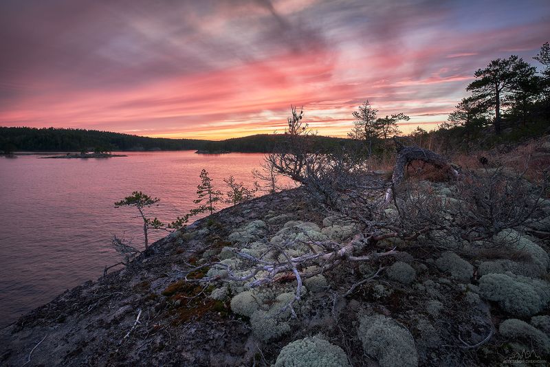 Карелия, ладожские шхеры Закат на Ладожских шхерах фото превью