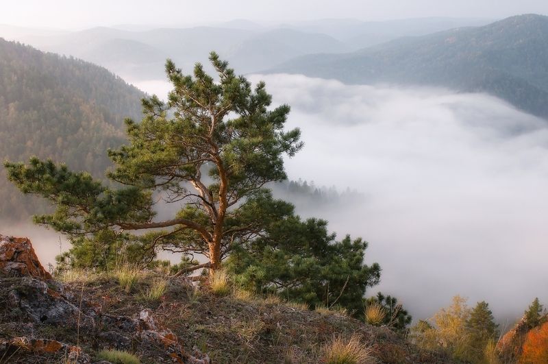 Над туманом фото превью