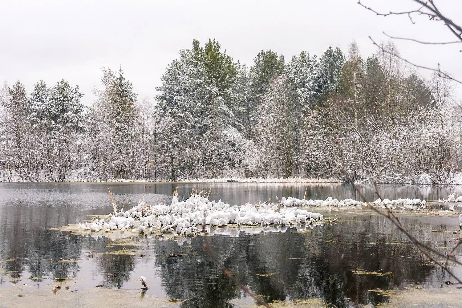 озеро, лес, снег, остров,, Анкудинов Леонид