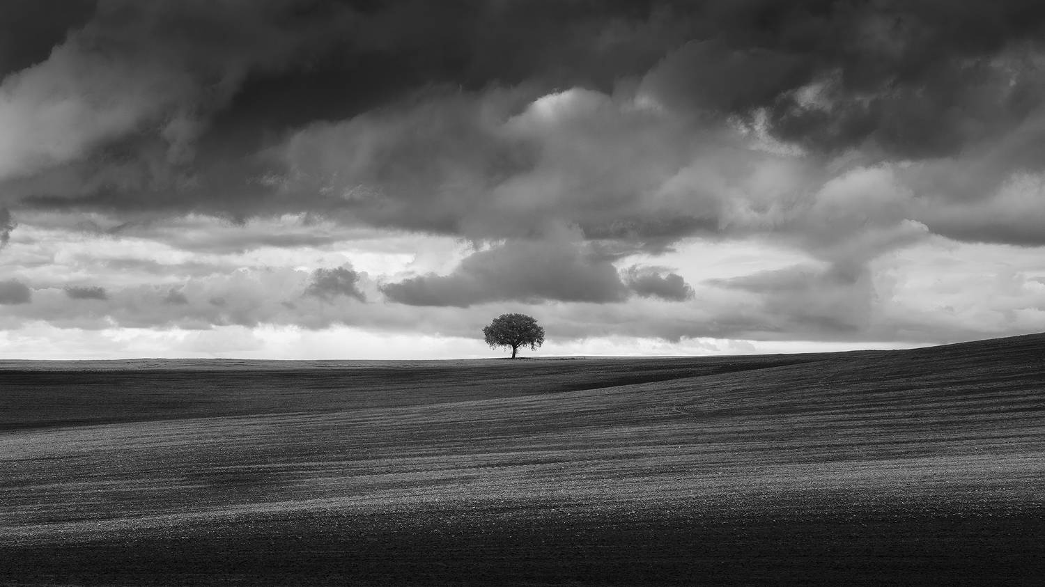 , de Franzoni Thomas