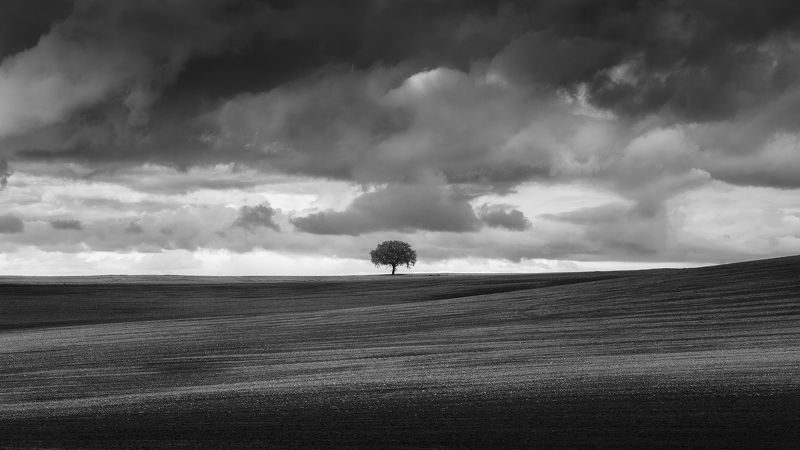 Beauty of Sadness фото превью