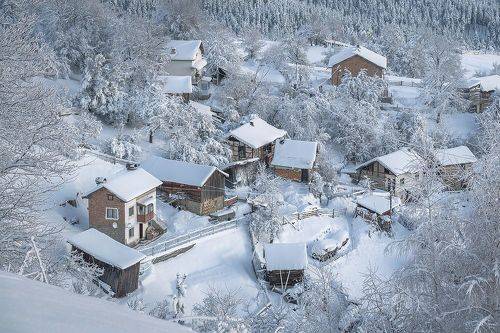 Winter in Rhodopi mountains