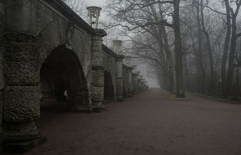 A morning in November фото превью