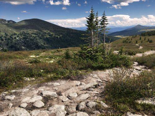 Тропа на Птицу