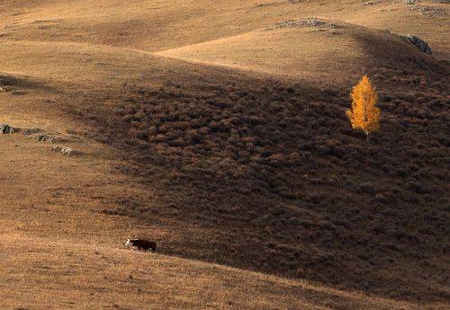 На горных склонах