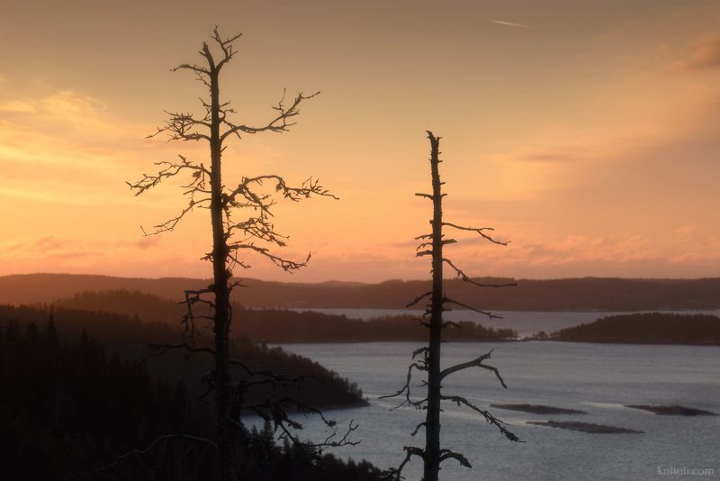 карелия, северное приладожье, сортавала, кирьявалахти, ристиниеми, ладожское озеро Северное Приладожье. Декабрь. фото превью