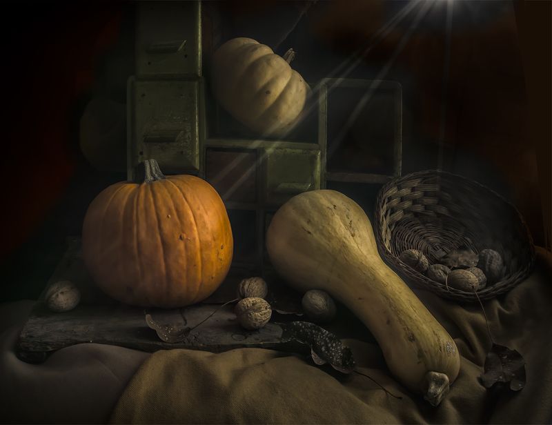 WINTER, STILL LIFE, HOME WINTER SUN RAYS фото превью