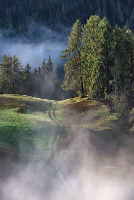 Утро в Альпах фото превью