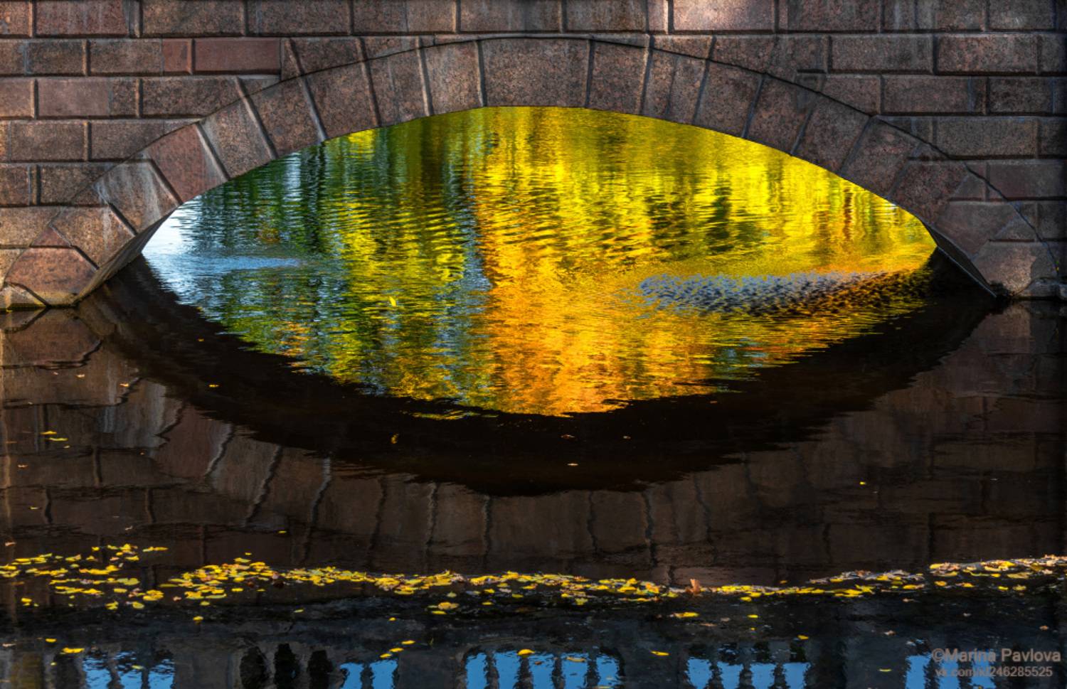 город, архитектура, город пушкин, царское село, екатерининский парк, мраморный(палладиев) мост, парк, Павлова Марина