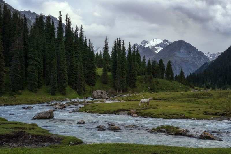Пасмурный пейзаж фото превью