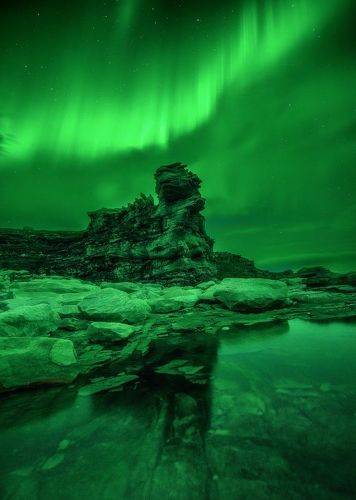 Каменный гость