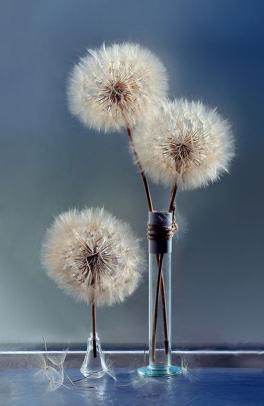 Вот и лето прошло... фото превью