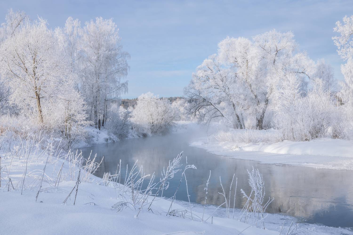 истра, Гусева Елена