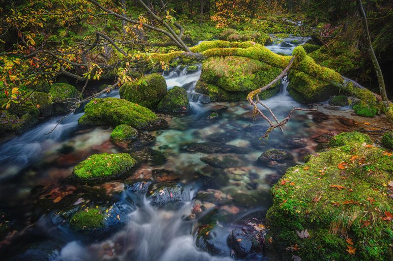 Осенние Зарисовки фото превью