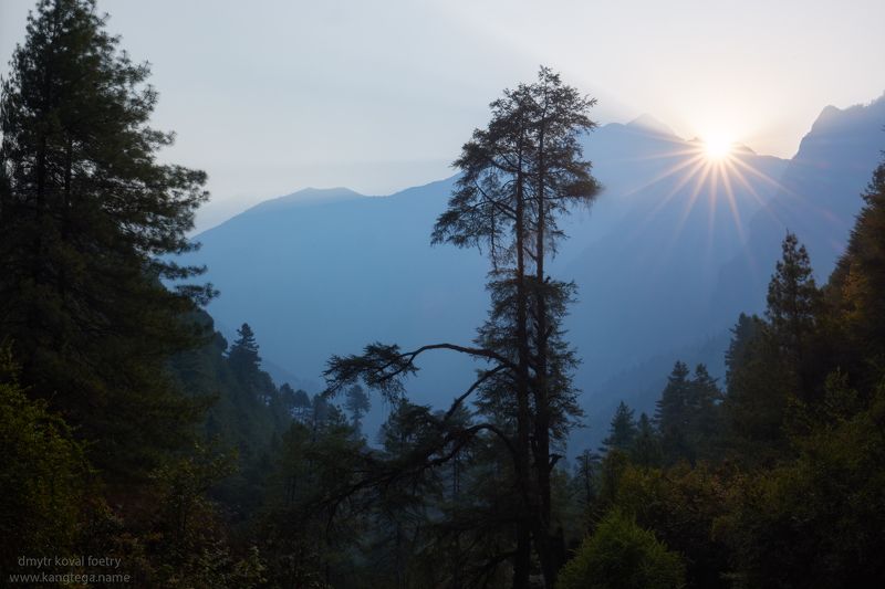 пейзажемагьё, пейзаж-как-виденье Рассветный лес Опаловых гор ... фото превью