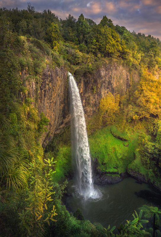 New Zealand, waterfall, landscape, outdoors, photography Bridal Veil Fall  фото превью