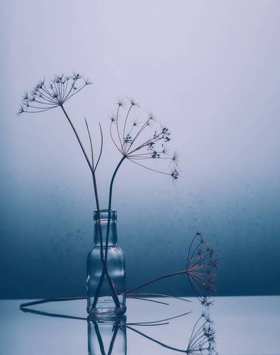 Оттенки цвета.. Синий.