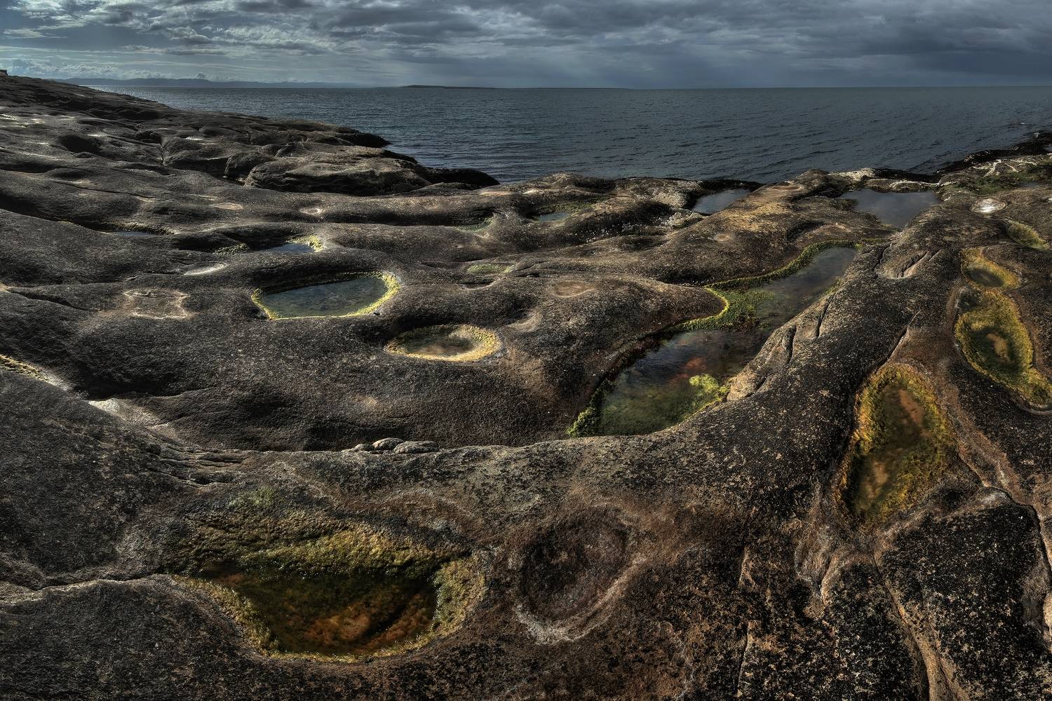 , Алексей Никонов