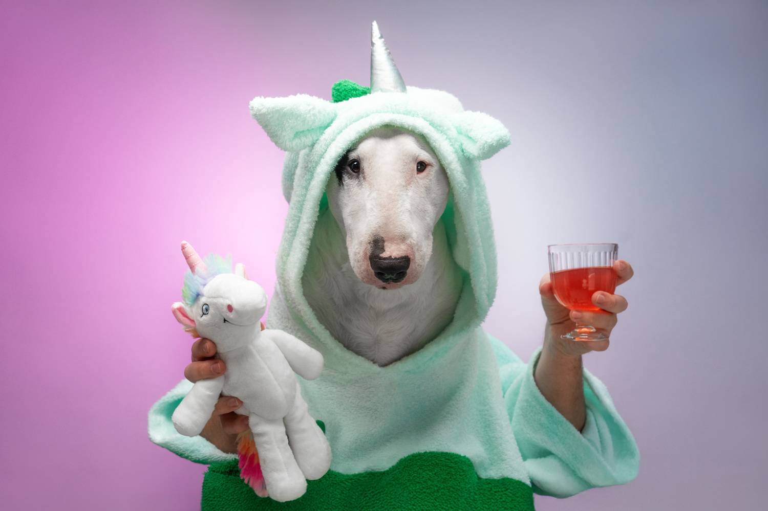 , Андрианова Ирина