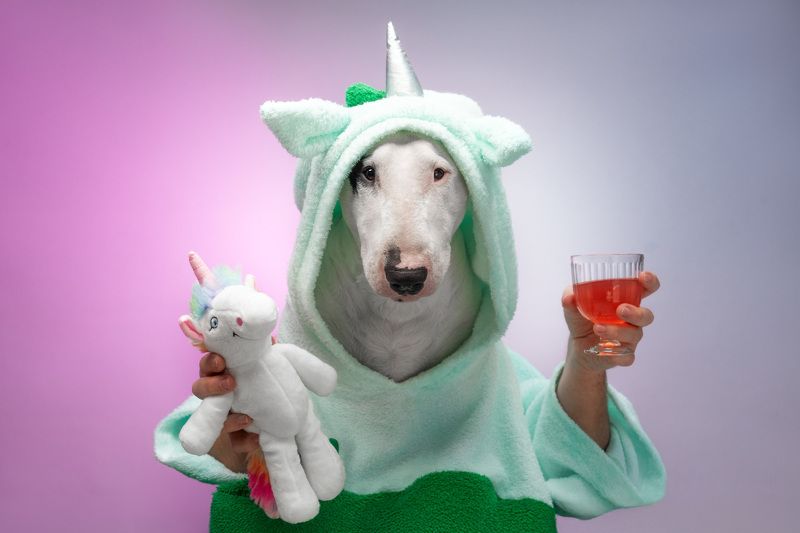 The Unicorn фото превью