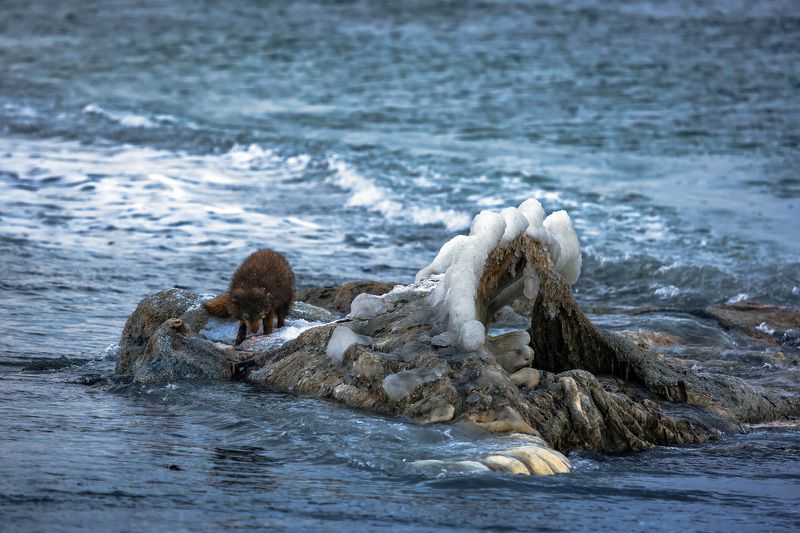 Ужин на воде фото превью