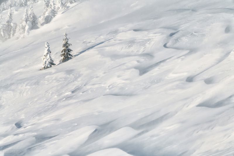 таганай, урал, горы, снег, елки, зима, мороз, челябинская область Две подружки. фото превью