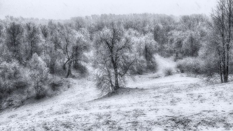 Слуда фото превью