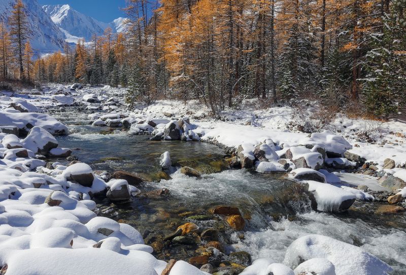 Холодные воды Актру фото превью