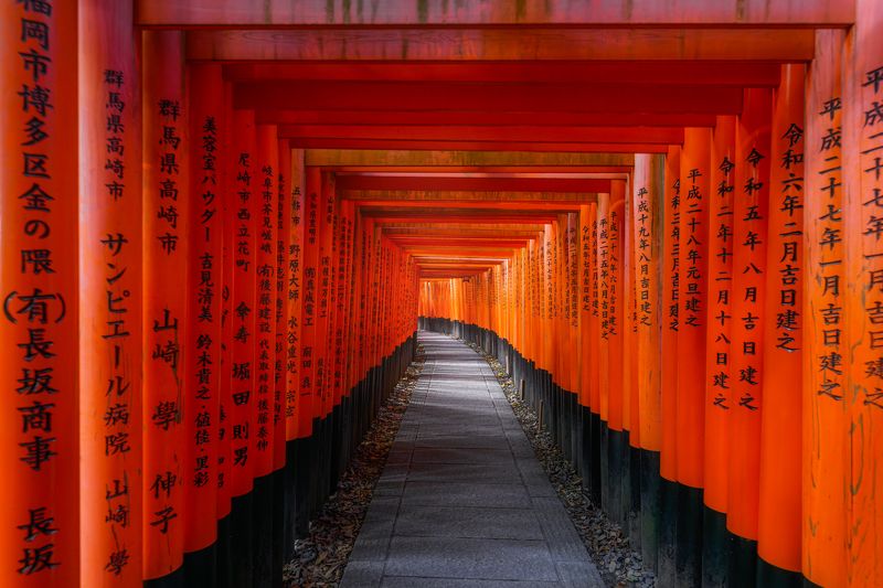 япония, japan, тур в японию, монастырь, храм, осень, клены, токио, киото, tokyo, kyoto, osaka, temple, red trees Япония (ноябрь 2024) фото превью