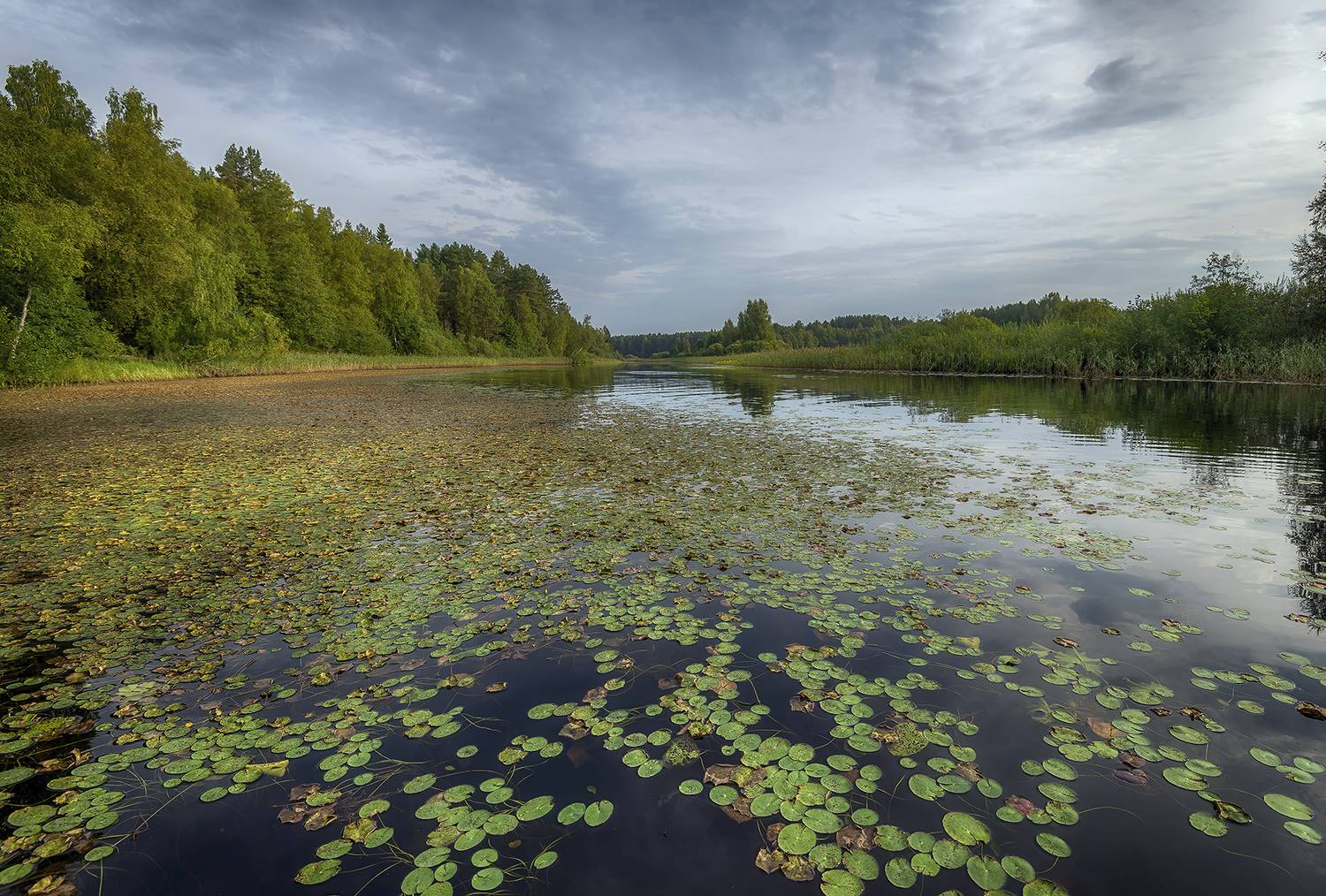 , Сергей Аникин