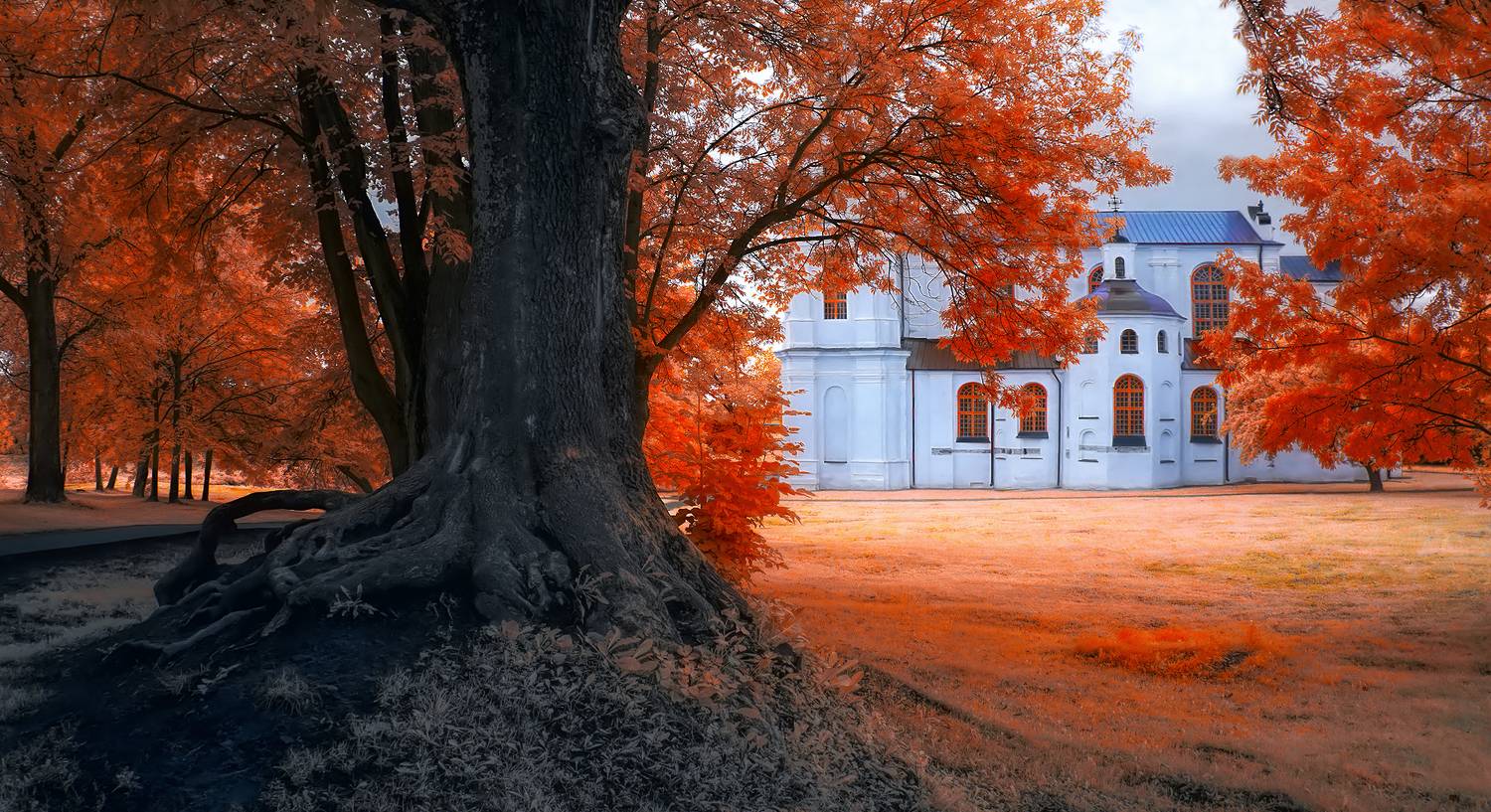 infrared,ик-фото,инфракрасное фото, инфракрасная фотография, пейзаж, лето,  Sixten (Сергей)