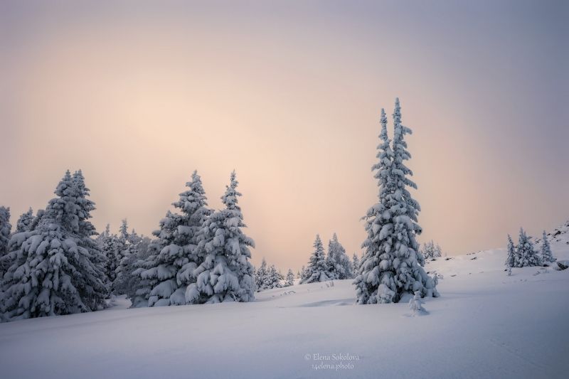 уван, гора уван, челябинская область, зимний лес, зимний пейзаж Гора Уван 1222м фото превью