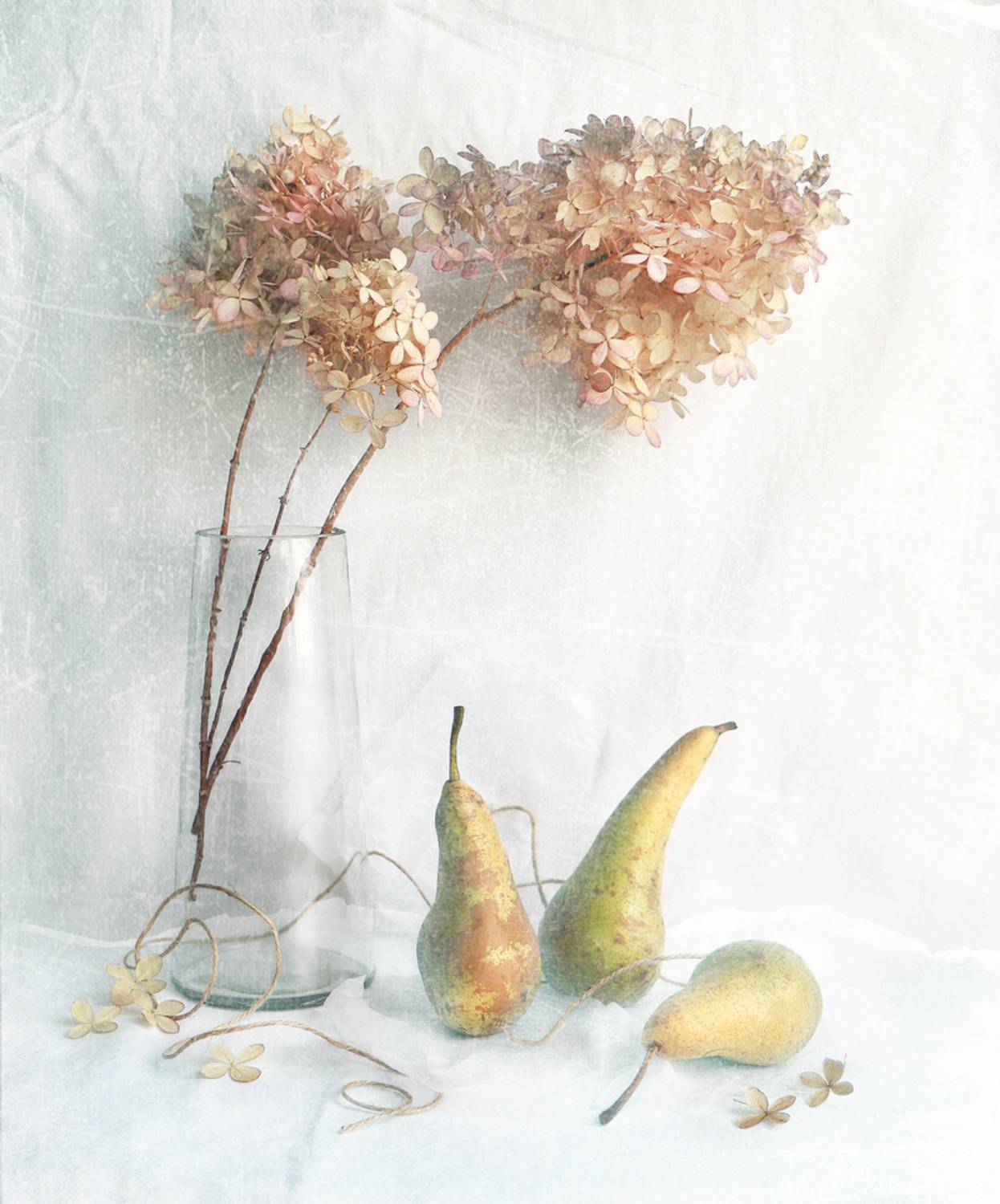 натюрморт, груши, натюрмортсгрушами, Алтыпина Наталья