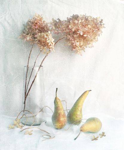 Зимние груши