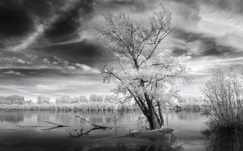 инфракрасная фотография, фильтр 590nm. Половодье. фото превью