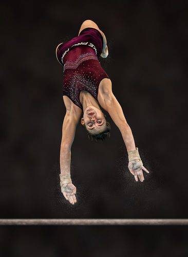 Flight of Elegance