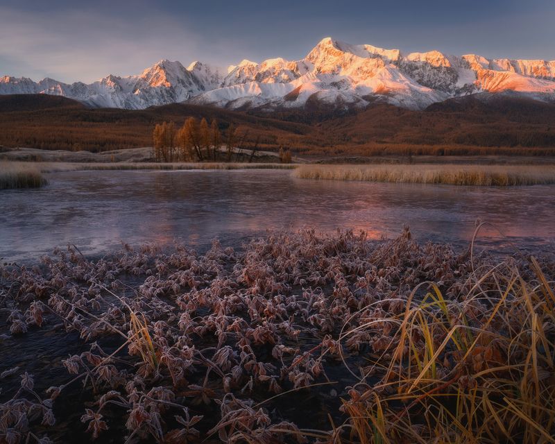 Согреваясь первыми лучами фото превью