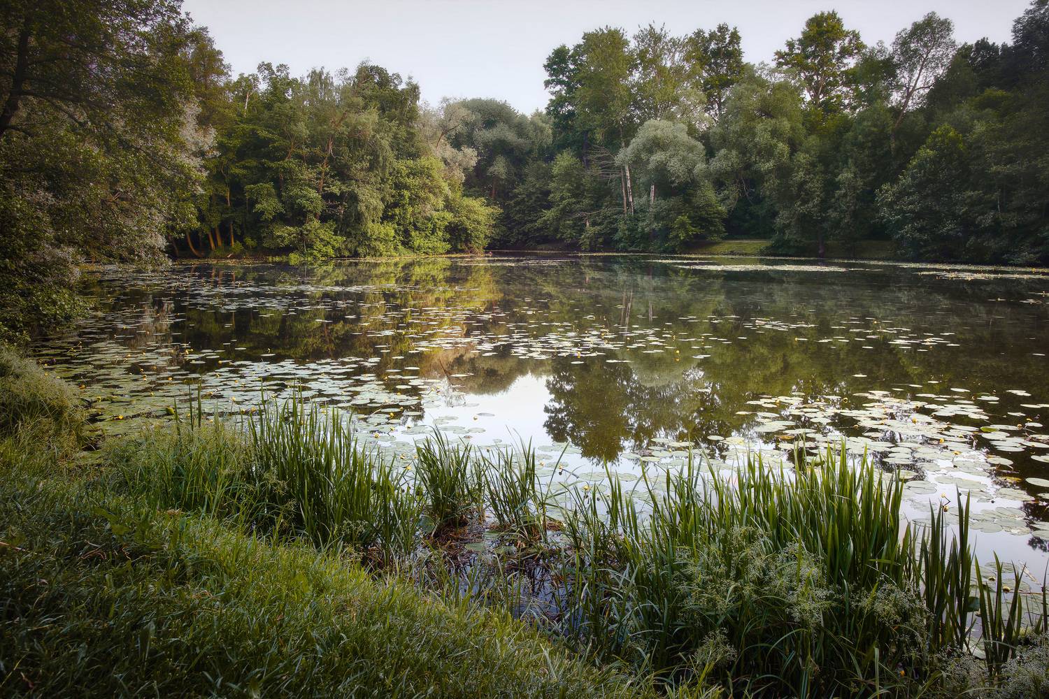 парк, деревья, озеро, Валерий Вождаев