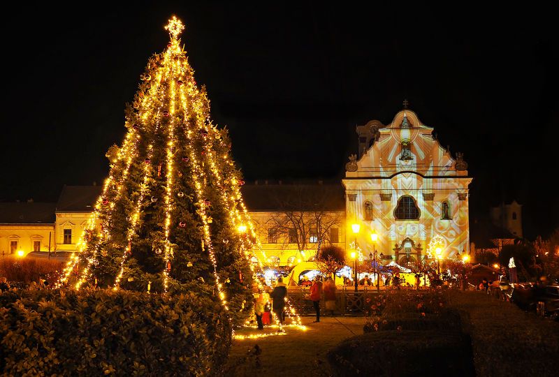 In the Christmas spirit фото превью