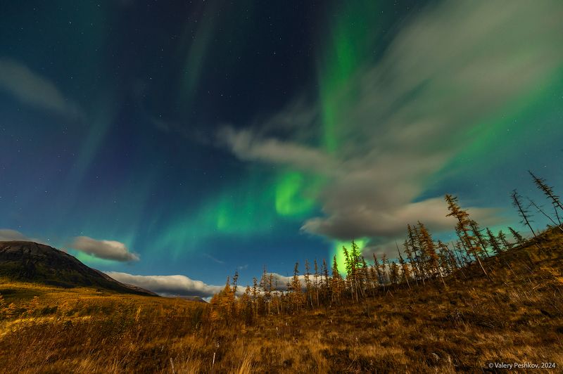 плато путорана, полярное сияние, курейка, таймыр, заполярье, база коваля, владимир коваль Полярное сияние фото превью