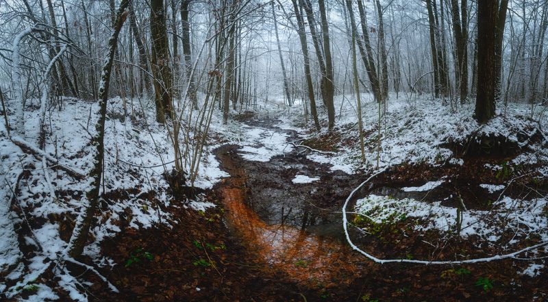 тула, красные ворота Ручей в декабрьском лесу фото превью