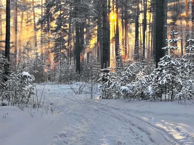 Вечереет фото превью