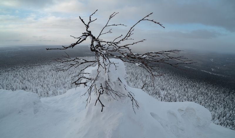 Россия, Пермский край, Полюдов Камень, камень Полюд,  Камень Полюд фото превью