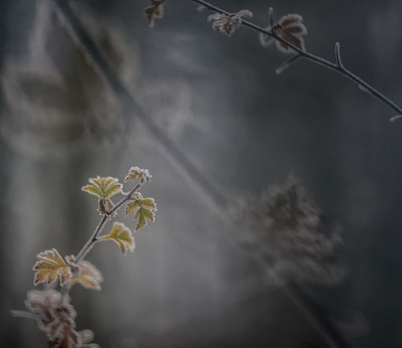 Где-то в параллельной вселенной фото превью