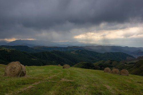 ЛЕТНИЙ ДОЖДЬ