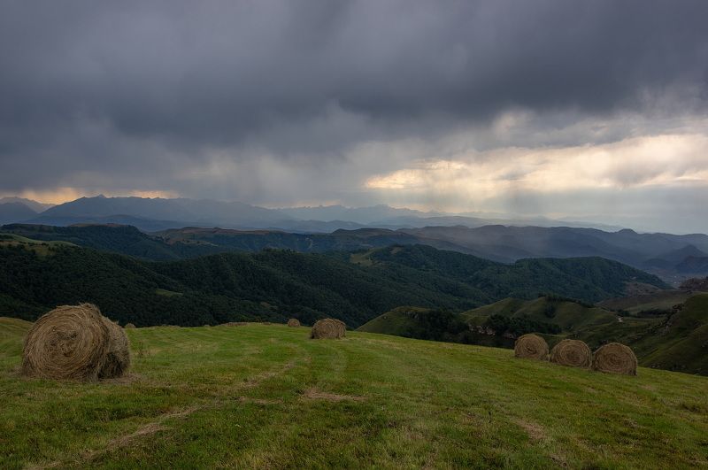 ЛЕТНИЙ ДОЖДЬ фото превью