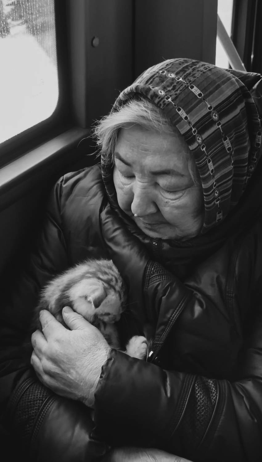 портрет, шаварёв,, Александр Шаварёв