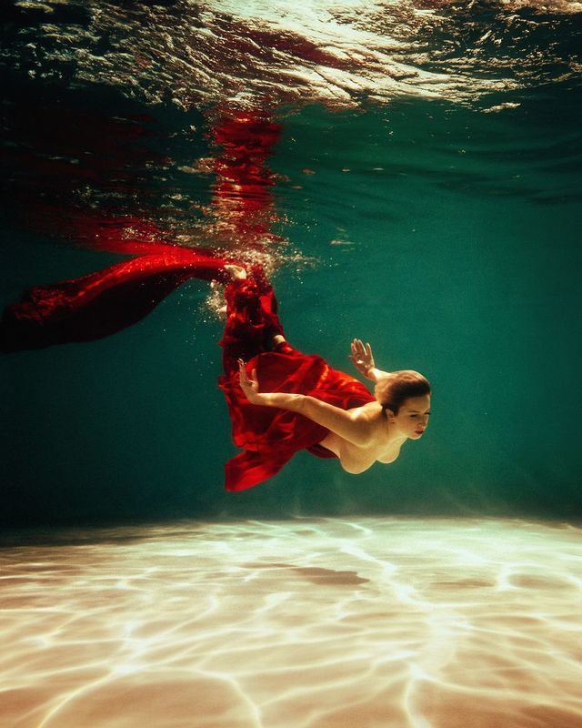 Nikon d850 фото превью